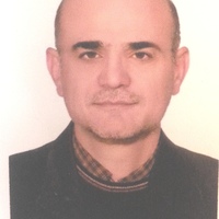 Mohammad Javad Rasaee