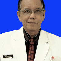 Trisulo Wasyanto