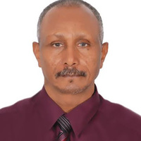 Ibrahim Suliman Ahmed Mukhtar