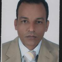 Mahmoud H Hozayn