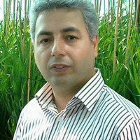 Mohammad Reza Ghaffari