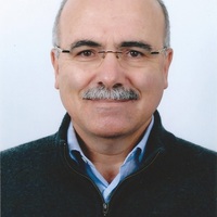 Luis M Camarinha-Matos