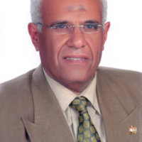 Mohamed Shouman