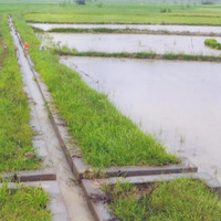 COMMAND AREA DEVELOPMENT Bhadrak