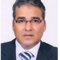 Abdel-Sattar S. Hamad Elgazwy