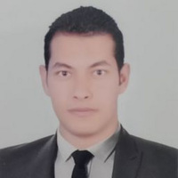 Hesham Radwan