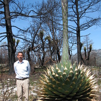 Enrique  Ruiz-Cancino