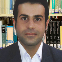 Hossein Meiboudi