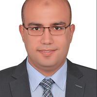 Mohamed R . Ali