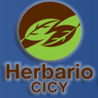 Desde el Herbario CICY  - Herbario CICY