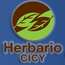 Desde el Herbario CICY  - Herbario CICY