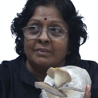 Vikineswary Sabaratnam