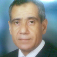 Mahmoud Gadallah