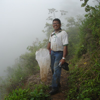 Luis E Piñango Alvarez