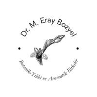 M. Eray Bozyel