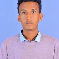 Dawit Dibekulu