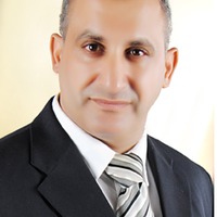 Mahmoud M Mekkawi