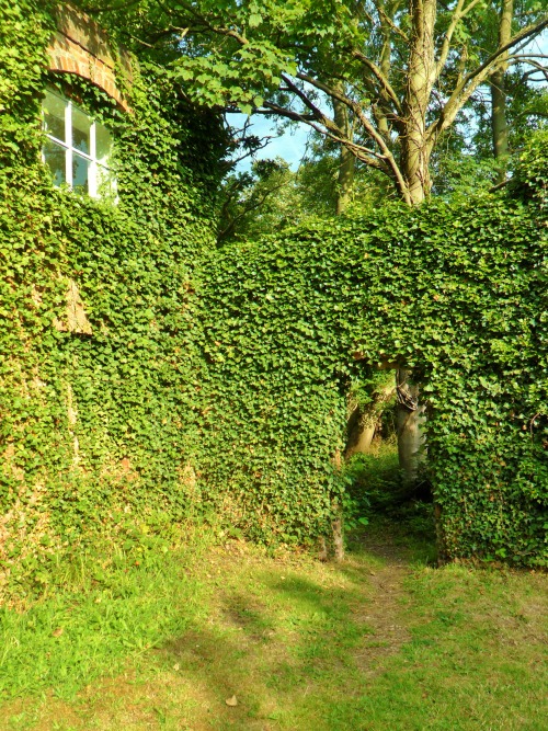 vwcampervan-aldridge:
“ Ivy overgrown entrance to the Walled garden at Middleton Hall, Warwickshire, England
All Original Photography by http://vwcampervan-aldridge.tumblr.com
”