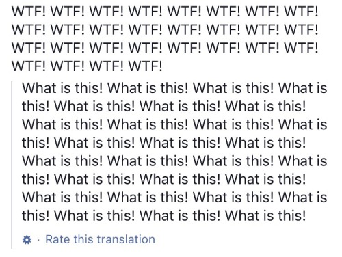 FB translator misses the point.