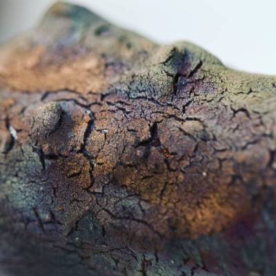 Im tired to raku, so I’m just gunna stare at this antler glaze for awhile…
.
.
.📸@tbphotographypdx
#saturdaymorning #glaze #raku #ceramic #clayart #antler #detail #gettowork #mycolorfullife #handmade #pnw