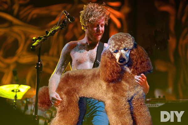 WOOFY CLYRO. (Photo by Emma Swann)