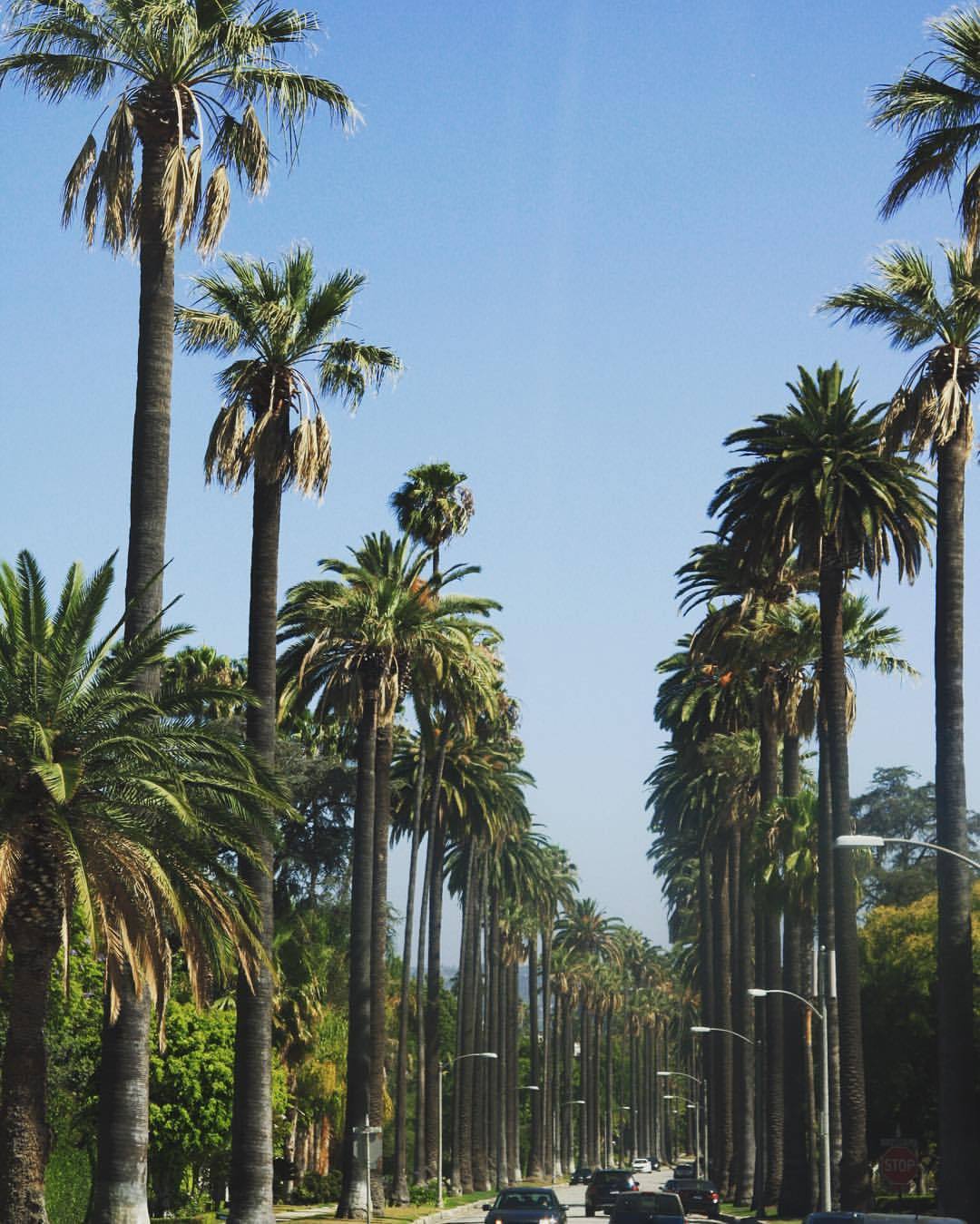 11 juillet 2016. Après le zoo le matin, balade dans les beaux quartiers de Beverly Hills, on n'a pas vu Brendon ni Brenda… #roadtripbvd #beverlyhills90210