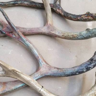 Which one is your favorite?
#raku #antler #natureart #naturelove #simplebeauty #madeinportland #ceramics #clayart #glaze