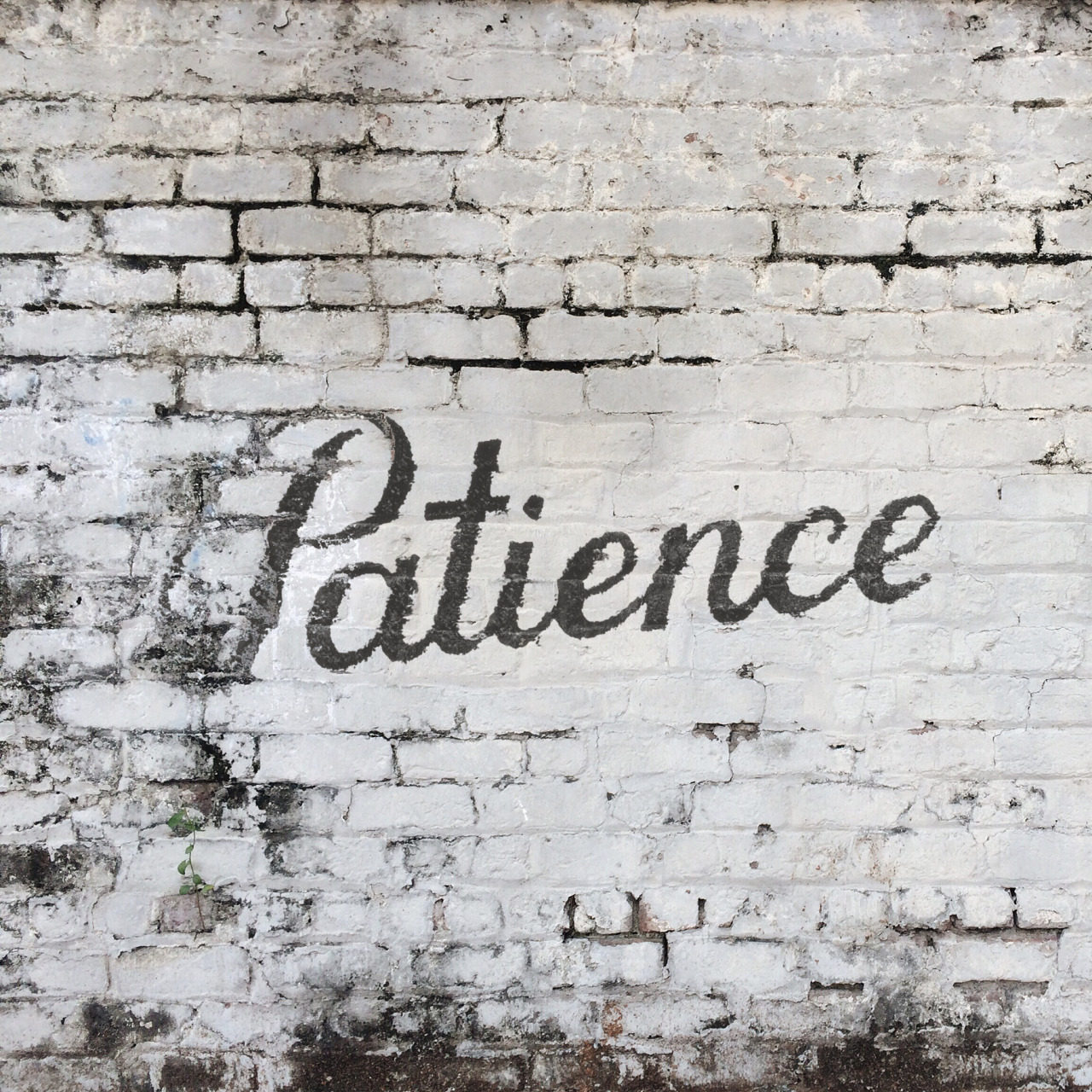 “A man who masters patience is the master of everything else. To make it to the top of your game, it takes patience.” - uknowbigsean
In Seans latest installment in his personal video series, he talks about patience. “Patience is key for happiness. It...