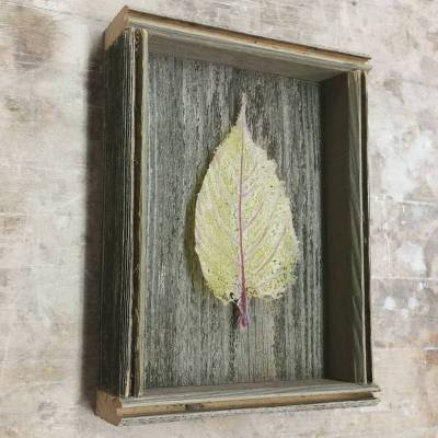 Newest glass leaf ready for a special place or someone. Kiln formed glass leaf, reclaimed barn wood.
#prettythings #naturelover #uniquegift #madeinportland #studioglass #handmade