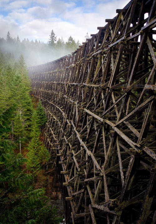 letsbuildahome-fr:
“ The abandoned wooden bridge Kinsol Trestle in Vancouver Island, Canada (by Bryn Tassel).
”