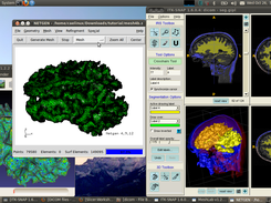 Biomedical modeling with ITKSnap, Meshlab and Netgen