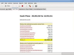 Cash Flow Report (Windows)