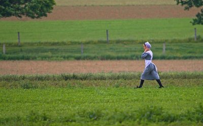 Amish Country