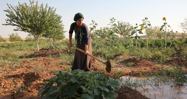 Guerra al Agua: ¡Agua para Rojava!