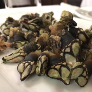 Goose barnacles.