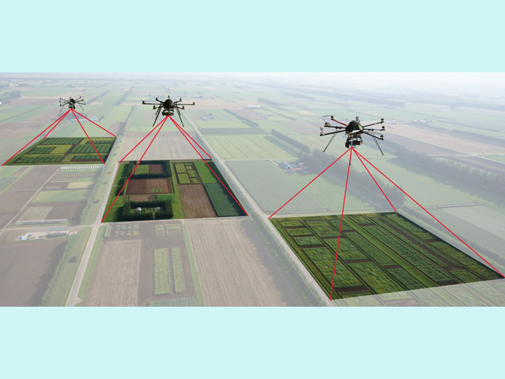 ドローンで上空から圃場をモニタリング　生育状況、病害虫の発生を把握