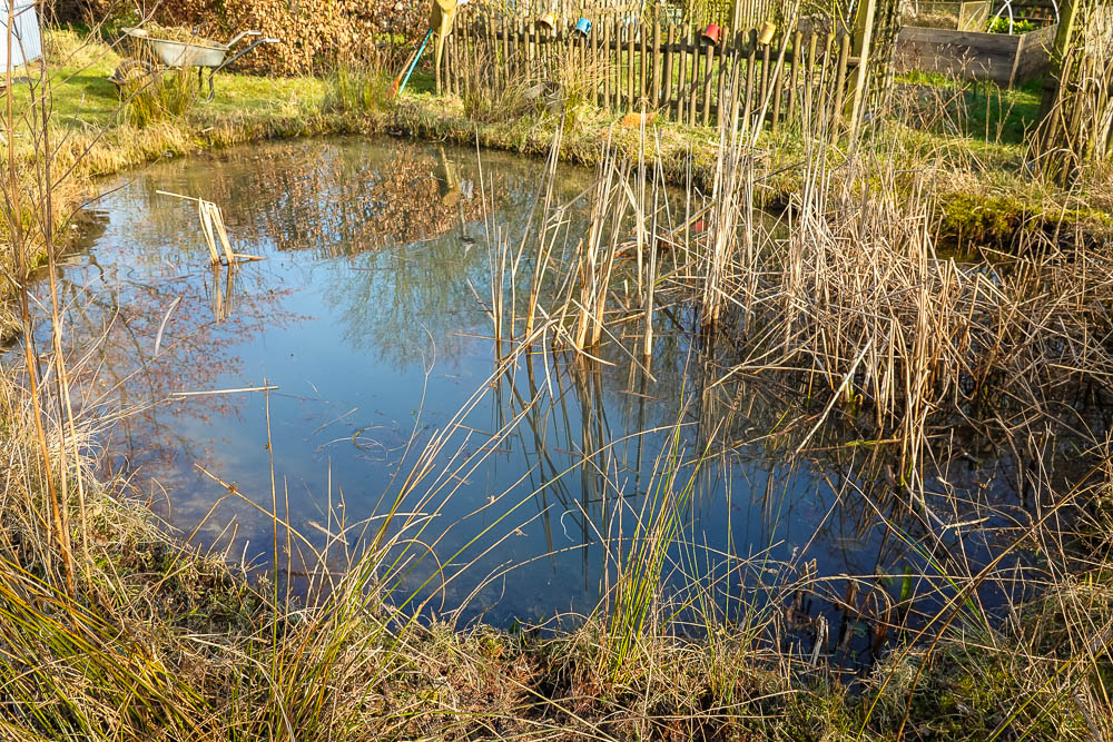 Teich nach Frühjahrsputz