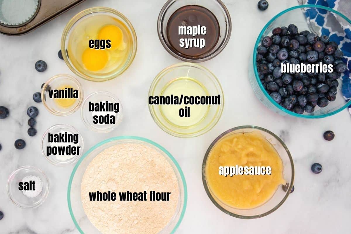 Ingredients for blueberry Muffins labeled on counter.