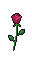 Prop Rose Sprite.png