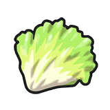 Lettuce