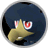 Murkrow