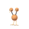 Doduo