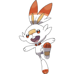 Scorbunny