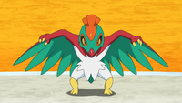 Bea's Hawlucha