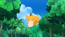 Psyduck SM009.png