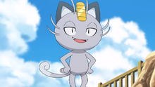 Matori Meowth.png