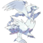 Vast White Pokémon