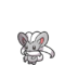 Cinccino