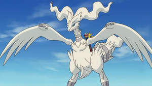 Reshiram M14.png