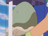 Larvitar Egg.png